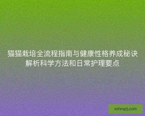 猫猫栽培全流程指南与健康性格养成秘诀解析科学方法和日常护理要点